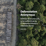 The Deforestation Anonymous report sheds light on alarming deforestation driven by PT Mayawana Persada in Indonesian Borneo.